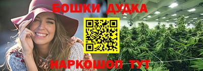 стаф Моздок