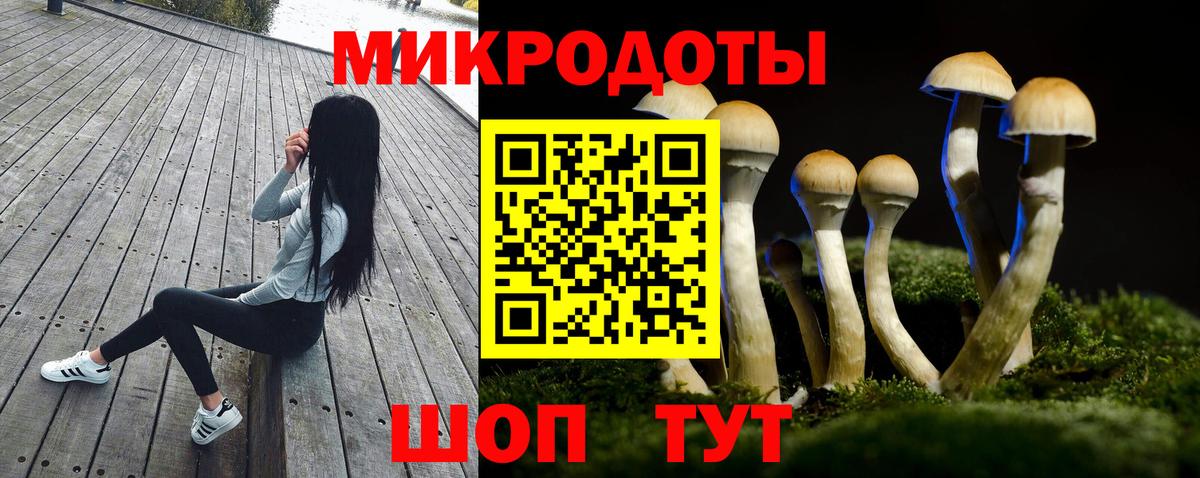 Псилоцибиновые грибы мухоморы Рубцовск