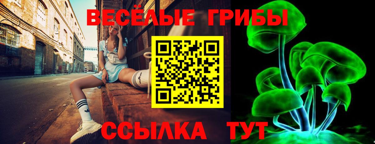 Псилоцибиновые грибы Cubensis  Вход с VPN  Псилоцибиновые грибы MAGIC MUSHROOMS  купить наркотик  Рубцовск 